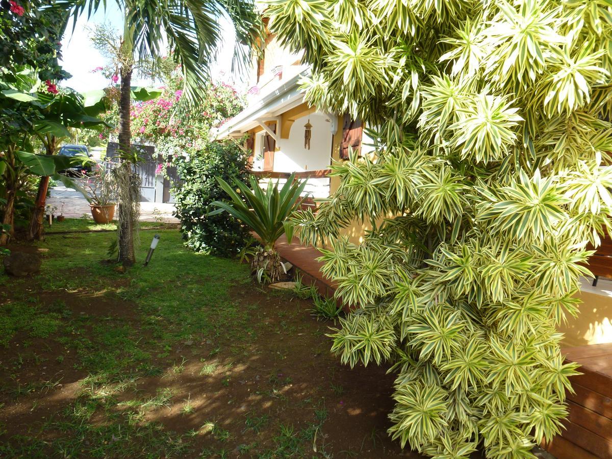Kreyol Lodges - Suite Kayou Deshaies Exterior foto